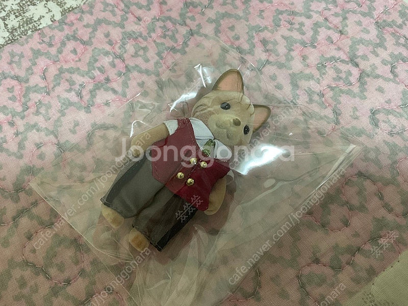 실바니안 설표 눈표범 타운보이즈 브라더 보이즈 핸섬 브...--0