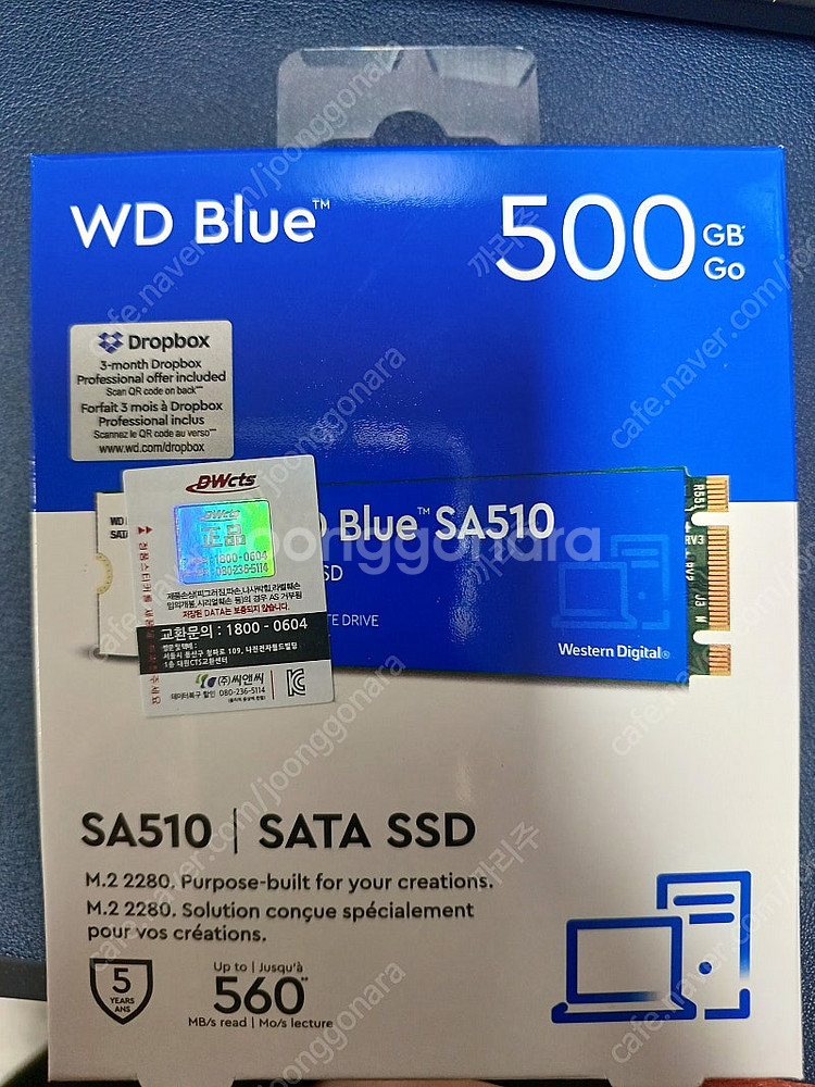 WD Blue SA510 M.2 500G SSD--0
