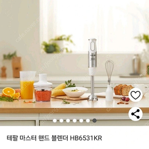 테팔 마스터 핸드블랜더 새제품