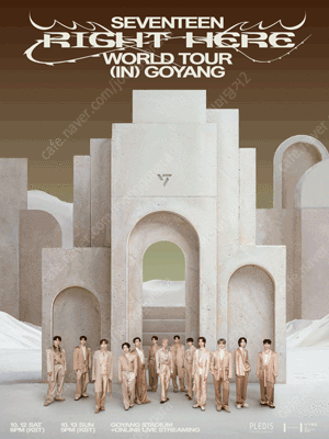 SEVENTEEN 세븐틴 콘서트 티켓 양도 합니다--0