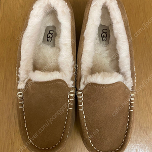 UGG 어그 엔슬리 체스트넛 240