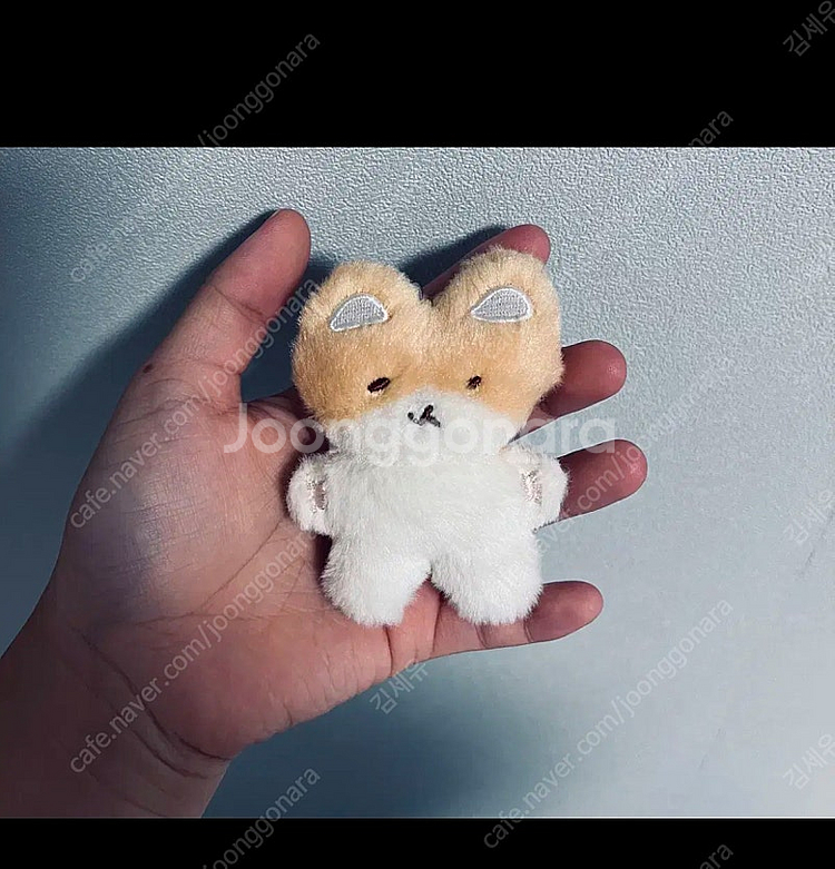 백현 터래기 _잃어버리지마 \ 터래기 인형 키링--0