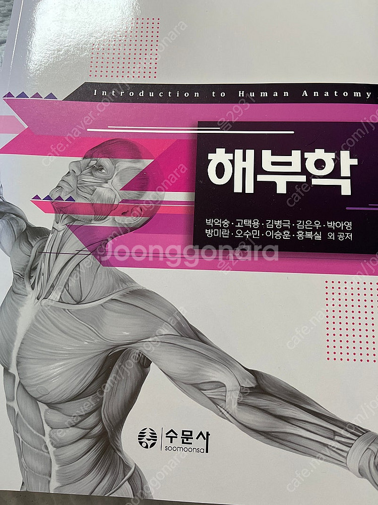 해부학책 팝니다--0