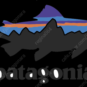 파타고니아 피츠로이 티셔츠( patagonia - Fitz Roy- T-Shirt )