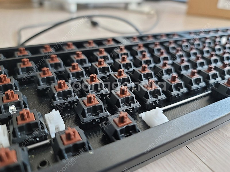 체리 G80-3000 TKL 갈축 블랙--1