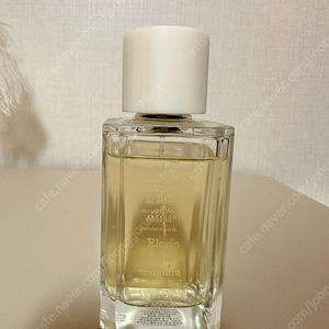 푸에기아 1833 엘로지오 데 라 솜브라(elogio de la sombra) 100ml