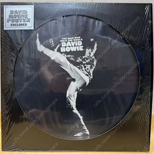 LP ; david bowie 데이빗 보위 엘피 음반 픽쳐디스크 3장 판매 락 명반 rock picure disc