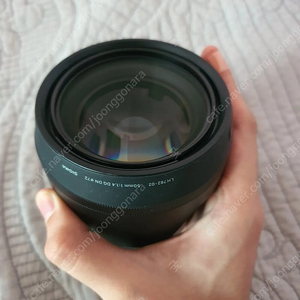 소니 시그마 50mm 1.4 DG DN 신아트오식 판매합니다.