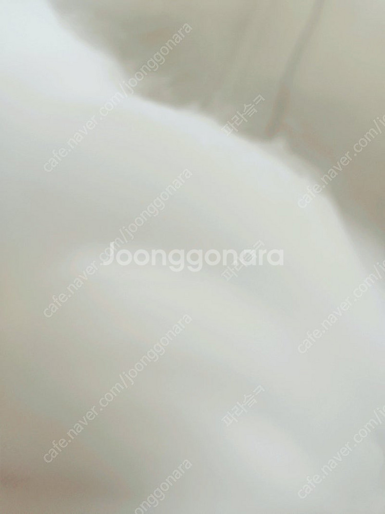LGU+ 500메가 인터넷 티비 양도 합니다(약정 2개...--0