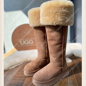 UGG 오버 더 니 버튼플랫폼(4cm) 어그부츠 36