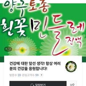 양구 흰꽃민들레 발효진액