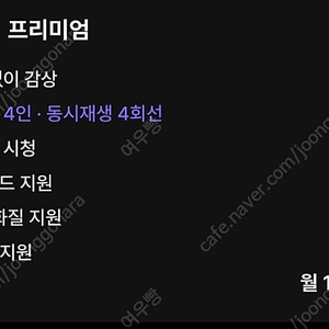 라프텔 3개월 같이 하실분