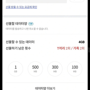 skt데이터 t데이터 2기가