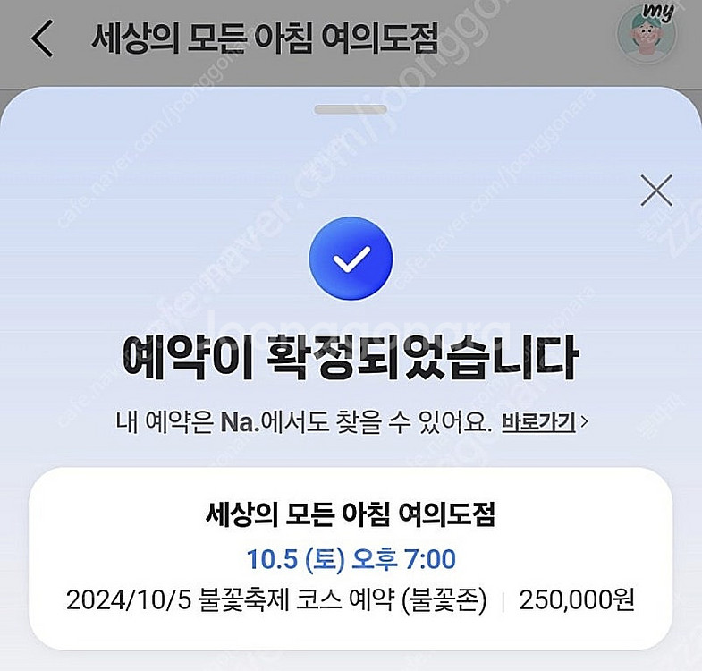 10/5 여의도 불꽃축제 세상의 모든 아침 불꽃존--0