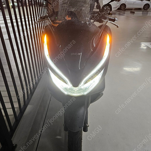 PCX125 18년식(19년형) 18700KM 팝니다(배달사용없음)