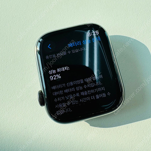 애플워치8 GPS+Cellular 45mm 스테인리스 그래파이트 / 밀레니즈 밴드