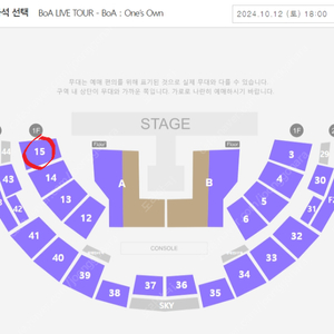 10/12 보아 콘서트 1층 15구역 1열 한자리