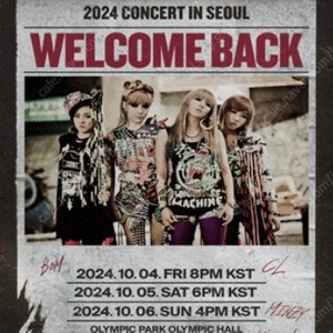 2NE1 첫콘 스탠딩 6xx 팝니다