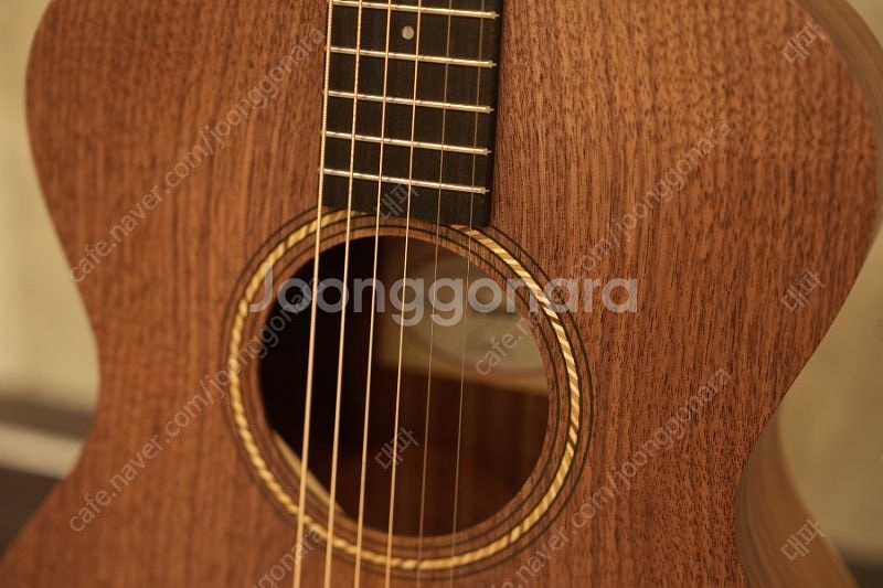 테일러 기타 Taylor 22e--1