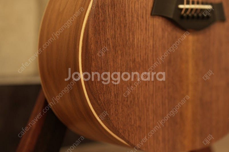 테일러 기타 Taylor 22e--2