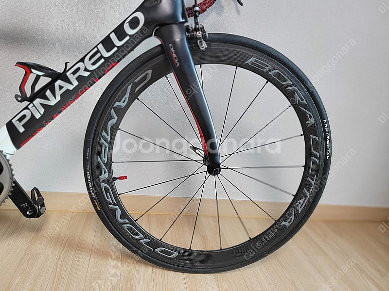 피나렐로 도그마 f8 급매--3