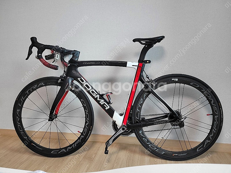 피나렐로 도그마 f8 급매--5