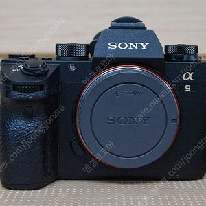 소니 sony a9