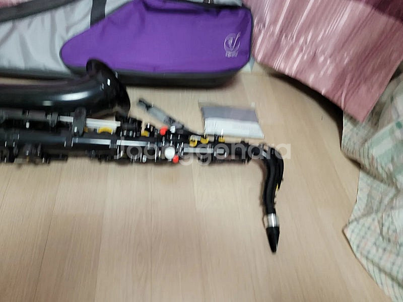 색소폰테너--0