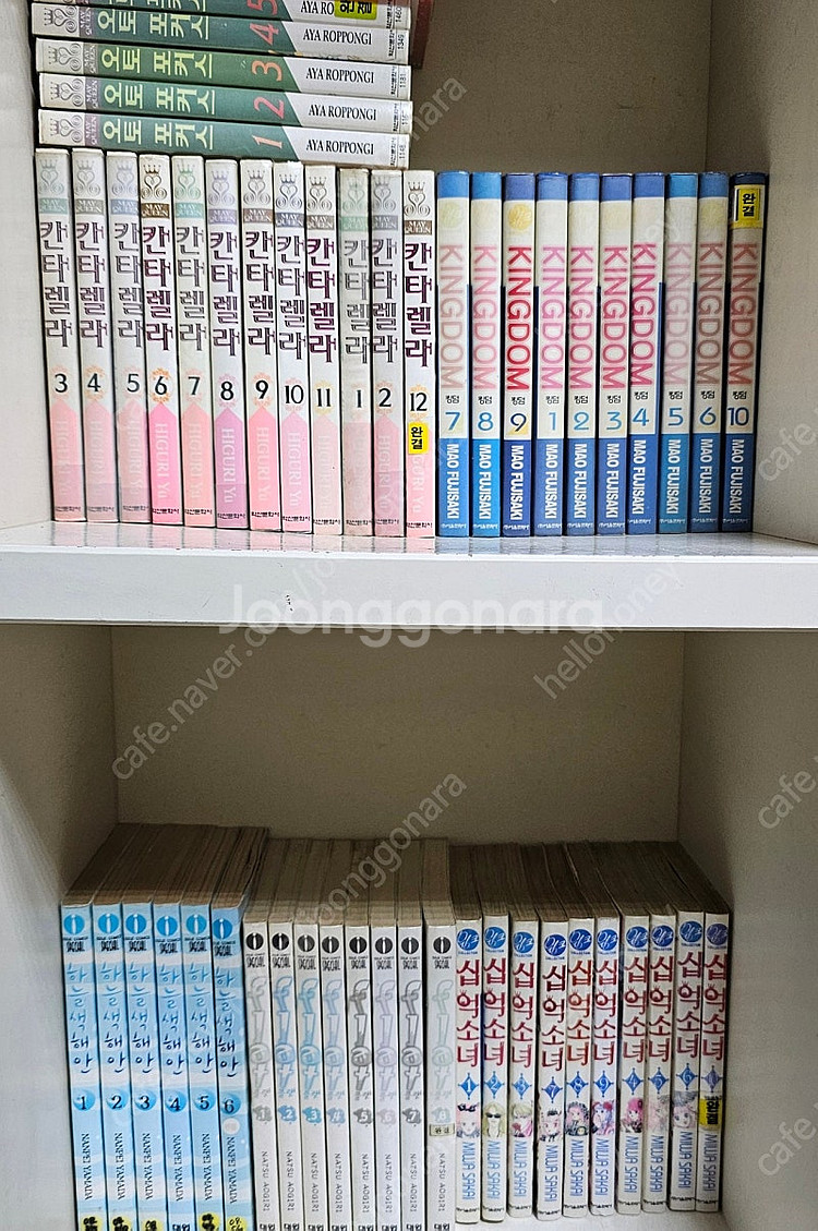 일본만화 순정만화) 칸타렐라, 킹덤, 오토포커스, 오렌...--0