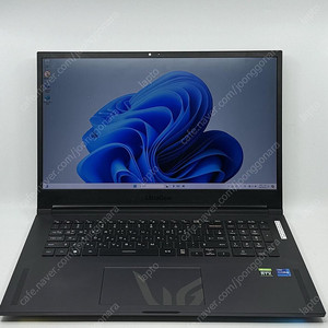 LG 게이밍노트북 울트라기어 17인치 i7/RTX3080 17GD90Q-XX79K