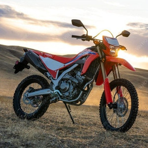 crf300l 삽니다