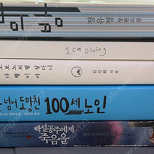 창문 넘어 도망친 100세 노인 백설공주에게 죽음을 7년의 밤 보노보노처럼 살다니 다행이야 1cm 다이빙 그림, 어떻게 시작할까