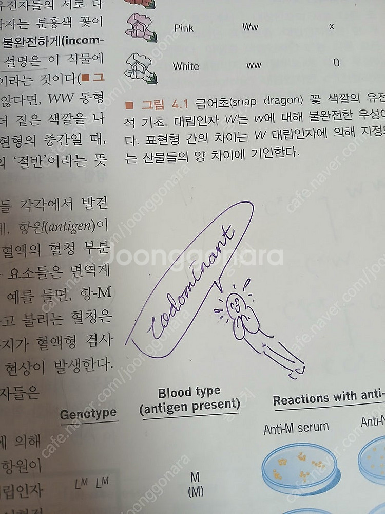유전학원론 6판/Krebs 생태학 6판/식물분자생명과학--1