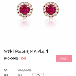 스타일러스 14k 귀걸이