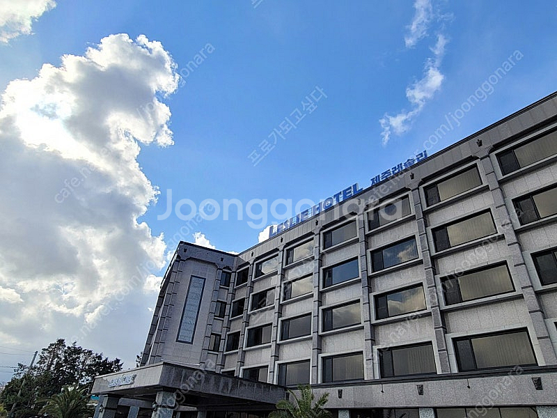 제주 레슬리호텔 (노형동) 양도 2024년 9월 20일...--0