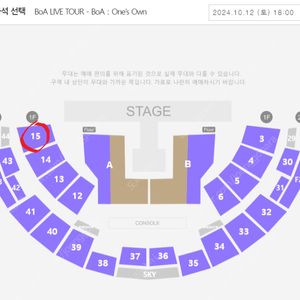 10/12 보아 콘서트 1층 15구역 1열 한자리