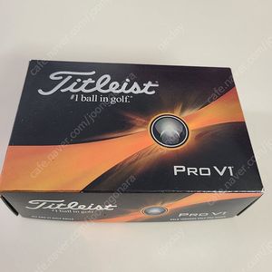 타이틀리스트 pro V1 골프공