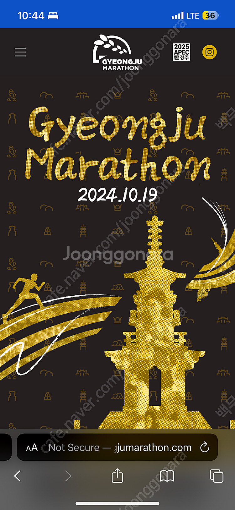 경주 국제 마라톤 하프 배번삽니다 2024 경주국제마라...--0