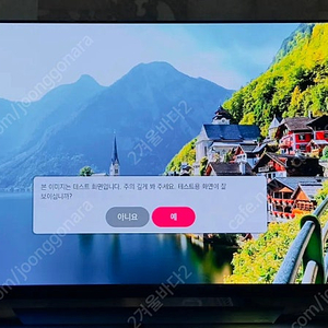 LG OLED 55인치 TV(새 패널)