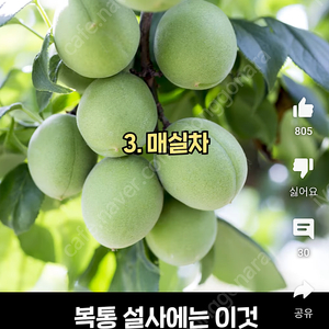 오늘 급양도!! 주문진 위너스호텔 스탠다드더블 오늘1박!! 6만원!!