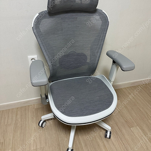 핀란디아 제노아 x100의자