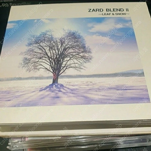 Zard(자드) Izumi Sakai CD 음반 앨범: 6장 일괄 또는 개별