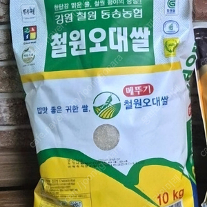 철원오대쌀 판매합니다. 착불