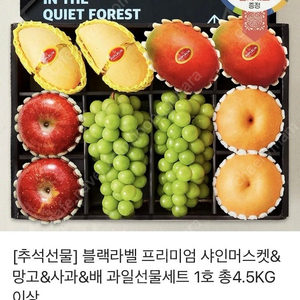 카카오톡 선물하기 과일세트