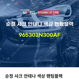 에쿠스 샤크안테나