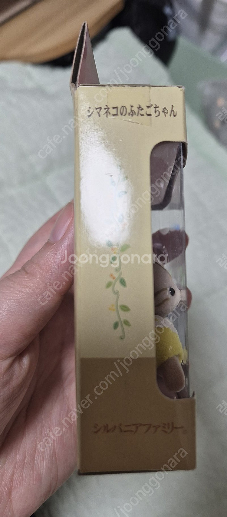 실바니안 슬리핑 시마네코 쌍둥이 (단종, 올드, 고양이...--2
