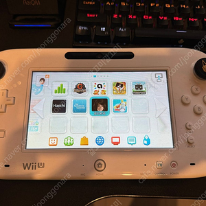 닌텐도 위유 wii u