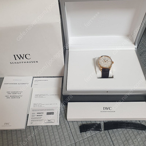 IWC 세븐 데이즈 부엉이 금통