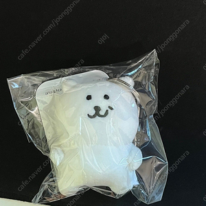 우쭐 농담곰