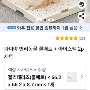 파미야 강아지 애견 쿨매트